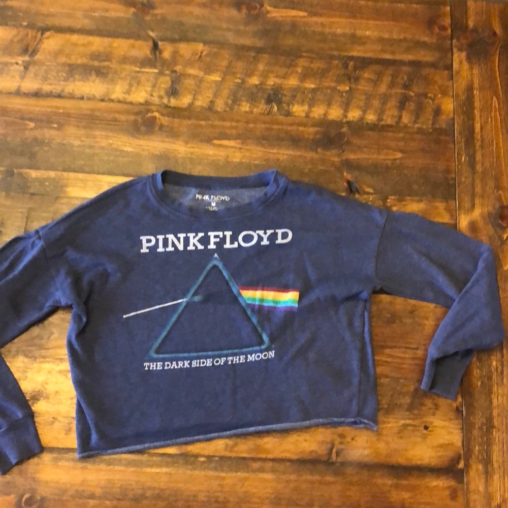 Pink Floyd cropped sweatshirt